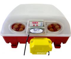 Incubatrice real borotto 49 uova automatica