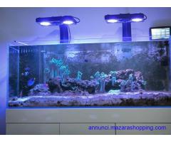 Acquario completo a pezzi